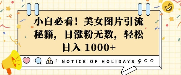 小白必看，美女图片引流秘籍，日涨粉无数，轻松日入几张【揭秘】-轻创网