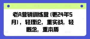 老A营销训练营(更24年12月),轻理论,重实战,轻概念,重本质-轻创网