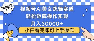 视频号蓝海赛道玩法，当天起号，拉爆流量收益，小白也能轻松月入30000+-轻创网