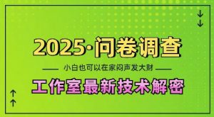2025问卷调查最新工作室技术解密:一个人在家也可以闷声发大财,小白一天2张,可矩阵放大【揭秘】-轻创网