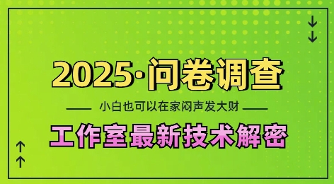 2025问卷调查最新工作室技术解密：一个人在家也可以闷声发大财，小白一天2张，可矩阵放大【揭秘】-轻创网