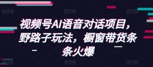 视频号AI语音对话项目，野路子玩法，橱窗带货条条火爆-轻创网