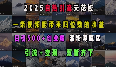 2025自热引流天花板，一条视频能带来四位数的收益，引流+变现双管齐下，日引500+创业粉，涨粉嘎嘎猛-轻创网