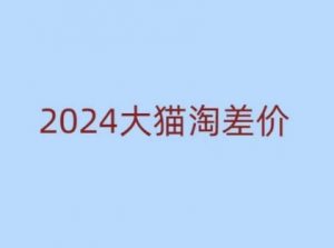2024版大猫淘差价课程，新手也能学的无货源电商课程-轻创网