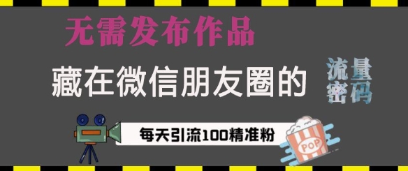 藏在微信朋友圈的流量密码，无需发布作品，单日引流100+精准创业粉【揭秘】-轻创网