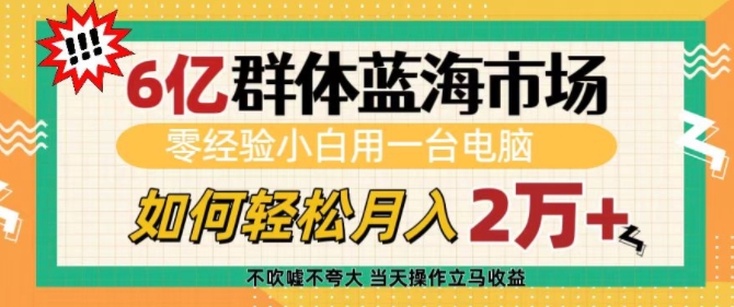 6亿群体蓝海市场，零经验小白用一台电脑，如何轻松月入过w【揭秘】-轻创网