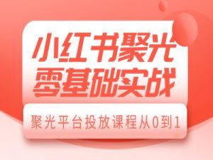 小红书聚光零基础实战，聚光平台投放课程从0到1-轻创网