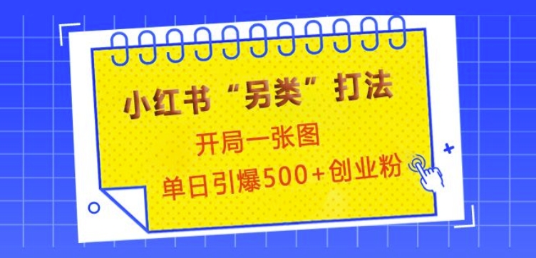 小红书“另类”打法，开局一张图，单日引爆500+精准创业粉【揭秘】-轻创网