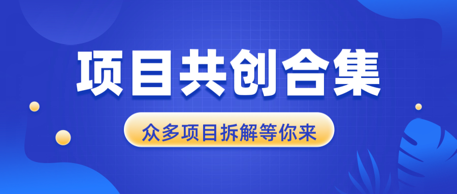 项目共创合集，从0-1全过程拆解，让你迅速找到适合自已的项目-轻创网