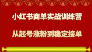 小红书商单实战训练营，从0到1教你如何变现，从起号涨粉到稳定接单，适合新手-轻创网