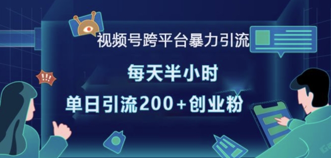 视频号跨平台暴力引流，每天半小时，单日引流200+精准创业粉-轻创网