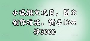小说推文项目，图文创作玩法，新手10天挣3000-轻创网