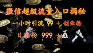 微信超级流量入口揭秘：一小时引流 99 + 创业粉，日涨粉 999 +-轻创网