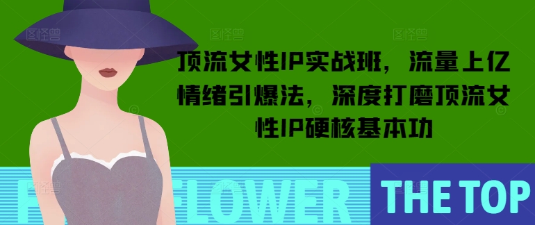 顶流女性IP实战班，流量上亿情绪引爆法，深度打磨顶流女性IP硬核基本功-轻创网