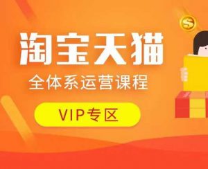 淘宝天猫全体系运营课程：店铺全系运营、动销玩法、付费推广、流量提升、擦边球玩法等等-轻创网