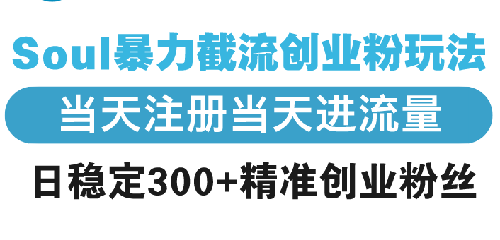 Soul暴力截流创业粉玩法，当天注册当天进流量，日稳定300+精准创业粉丝-轻创网