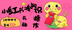 小红书冷知识账号，无脑复制粘贴，5分钟即可变现3张-轻创网