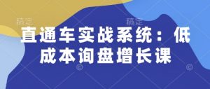 直通车实战系统：低成本询盘增长课，让个人通过技能实现升职加薪，让企业低成本获客，订单源源不断-轻创网