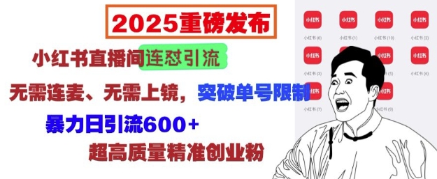 2025重磅发布：小红书直播间连怼引流，无需连麦、无需上镜，突破单号限制，暴力日引流600+-轻创网