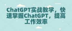 ChatGPT实战教学，快速掌握ChatGPT，提高工作效率-轻创网