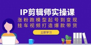 IP剪辑师实操课:涨粉跑模型起号到变现,挂车视频打造爆款带货-轻创网