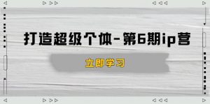 打造 超级个体-第6期ip营:商业认知,产品设计,成交演练,解决知识变现难题-轻创网