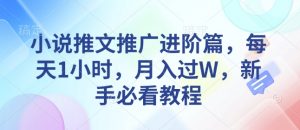 小说推文推广进阶篇，每天1小时，月入过W，新手必看教程-轻创网
