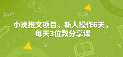 小说推文项目，新人操作6天，每天3位数分享课-轻创网