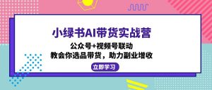 小绿书AI带货实战营：公众号+视频号联动，教会你选品带货，助力副业增收-轻创网