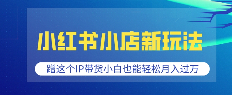 小红书小店新玩法，蹭这个IP带货，小白也能轻松月入过W【揭秘】-轻创网