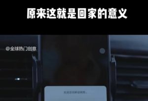 利用春节风口，制作热点视频，多种玩法类型，新手也能轻松变现！-轻创网