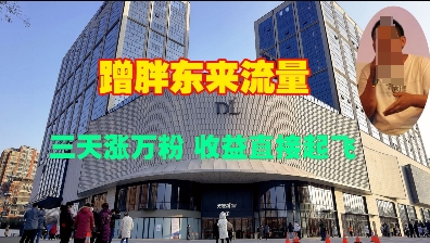 蹭胖东来流量，三天涨万粉，收益直接起飞-轻创网