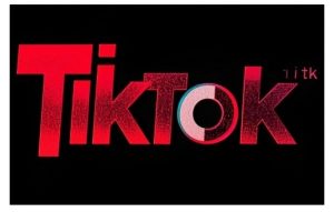 TikTok ads投流秘籍，涵盖tiktok整体投放思路，教你搭建测试计划-轻创网