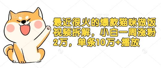 最近很火的爆款猫咪做饭视频拆解，小白一周涨粉2万，单条10万+播放(附保姆级教程)-轻创网