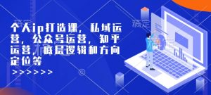 个人ip打造课，私域运营，公众号运营，知乎运营，底层逻辑和方向定位等-轻创网