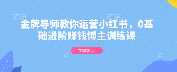 金牌导师教你运营小红书，0基础进阶赚钱博主训练课-轻创网