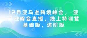 12月亚马逊跨境峰会， 亚马逊峰会直播，线上特训营基础版，进阶版-轻创网