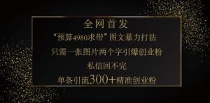 小红书神奇图片引流法，只需一张图，就能单条笔记凭借此方法，轻松引流 300 + 精准创业粉-轻创网