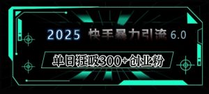 2025年快手6.0保姆级教程震撼来袭，单日狂吸300+精准创业粉-轻创网