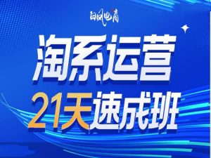 淘系运营21天速成班35期，年前最后一波和2025方向-轻创网