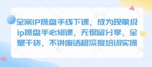 全案IP操盘手线下课，成为现象级ip操盘手必修课，无保留分享，全是干货，不讲废话超深度培训实操-轻创网