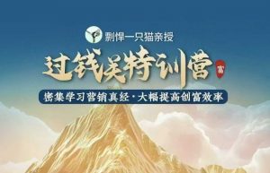 剽悍一只猫-过钱关特训营，学习营销真经 大幅度提高创富效率-轻创网