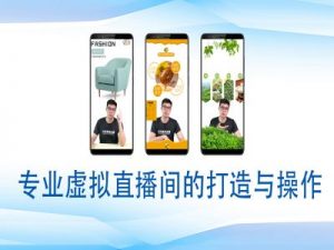 个人虚拟直播间的搭建与操作,专业虚拟直播间的打造与操作-轻创网