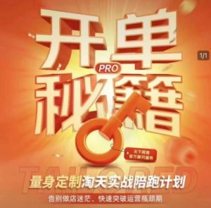 淘宝开单秘籍PRO，量身定制淘天实战陪跑计划，告别做店迷茫、快速突破运营瓶颈期-轻创网