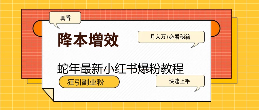 蛇年最新小红书爆粉教程，狂引副业粉，月入万+必看-轻创网