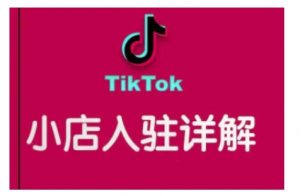 TikTok跨境小店运营全攻略,帮助你独立运营TK跨境小店的能力,实现销量增长-轻创网