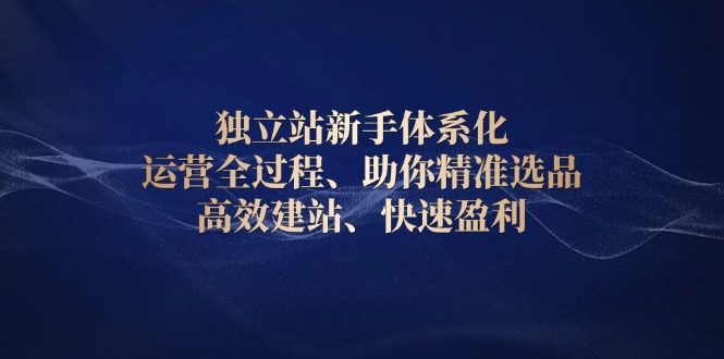 独立站新手体系化 运营全过程，助你精准选品、高效建站、快速盈利-轻创网
