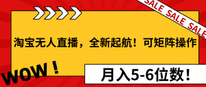 淘宝无人直播，全新起航！可矩阵操作，月入5-6位数！-轻创网