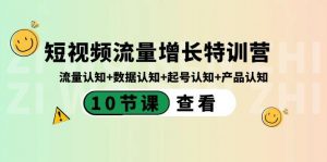 短视频流量增长特训营：流量认知+数据认知+起号认知+产品认知（10节课）-轻创网