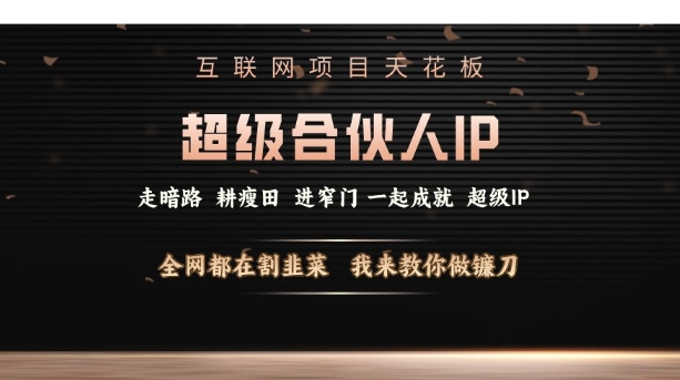 互联网项目天花板，超级合伙人IP，全网都在割韭菜，我来教你做镰刀【仅揭秘】-轻创网